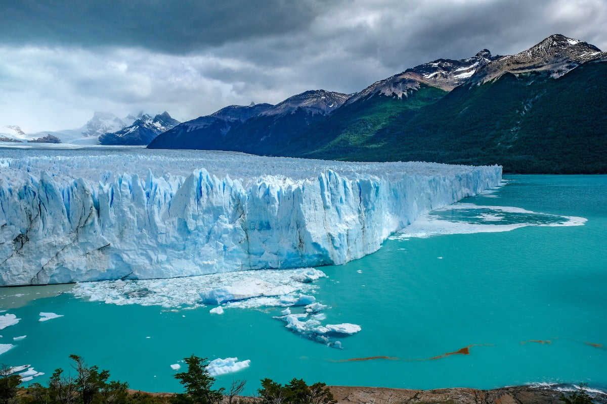 Calafate