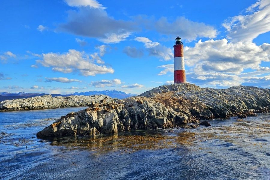 Navegación + Isla de Pingüinos