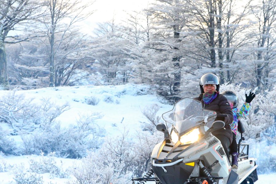 Dia inteiro de neve com trenó