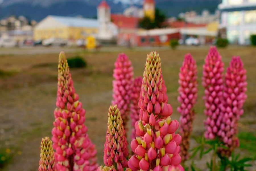 3 passeios imperdíveis – primavera/verão