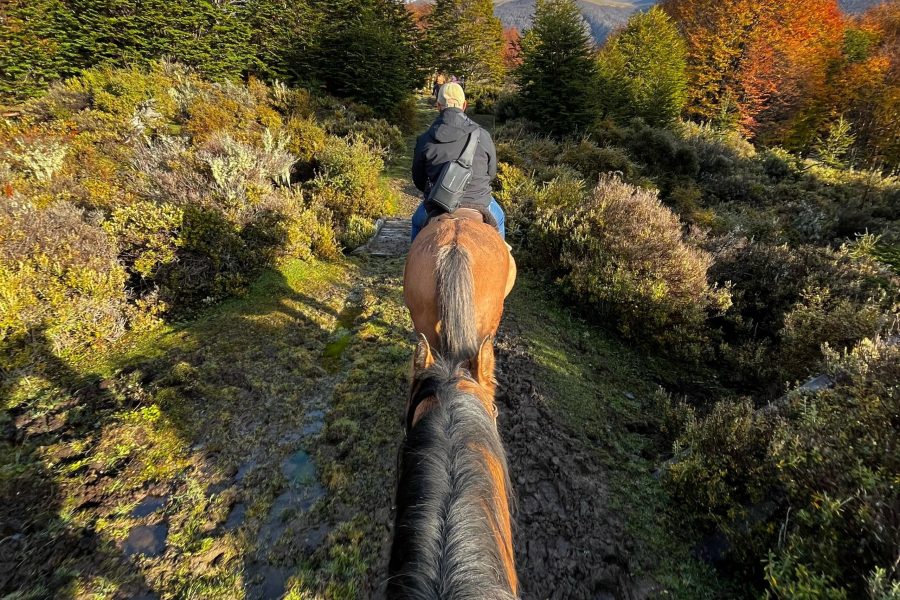Cabalgata Lago Escondido