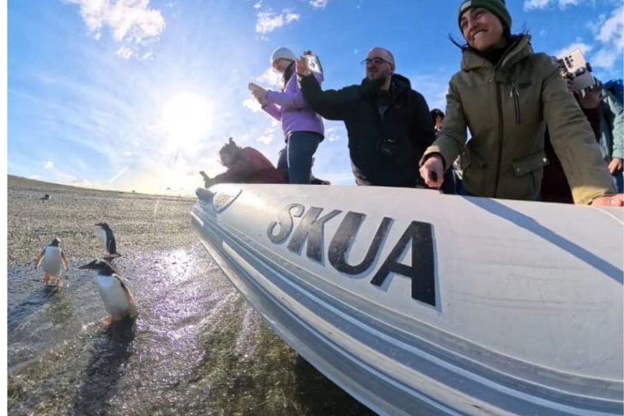 Avistaje Pinguinos desde Puerto Almanza
