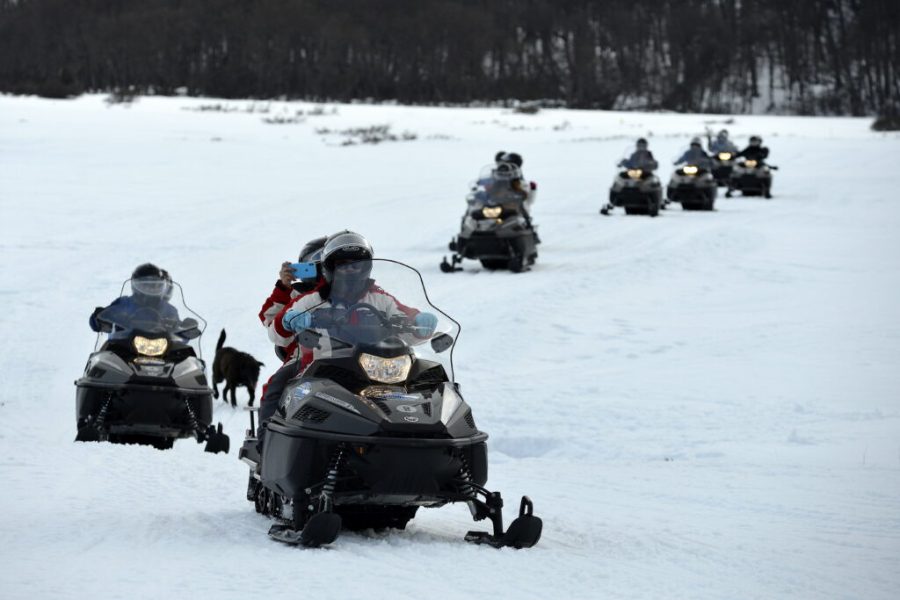 Full day nieve sin trineo