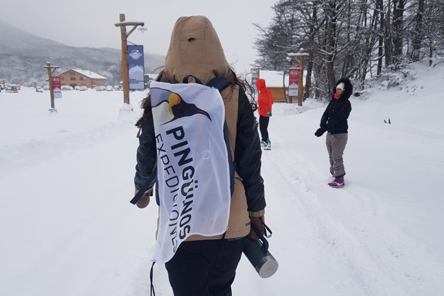 Pack x 5 días de Traslados al Cerro Castor