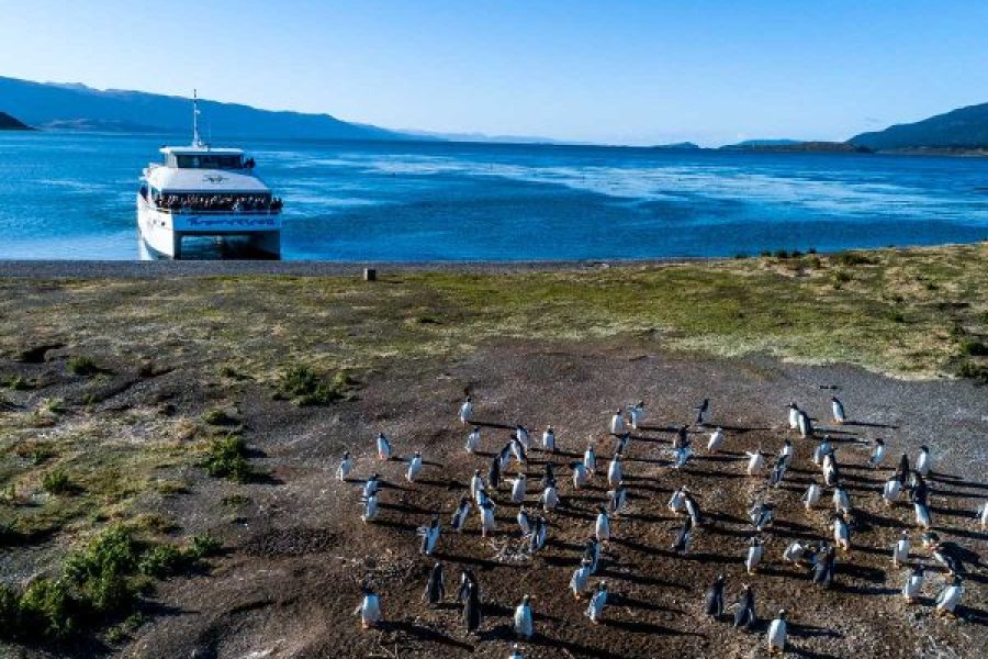 2×1 en Ushuaia: ¡Viví 2 Excursiones + Navegación Pingüinera!  (Primavera| Verano)