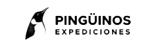 Diseño sin título-Photoroom